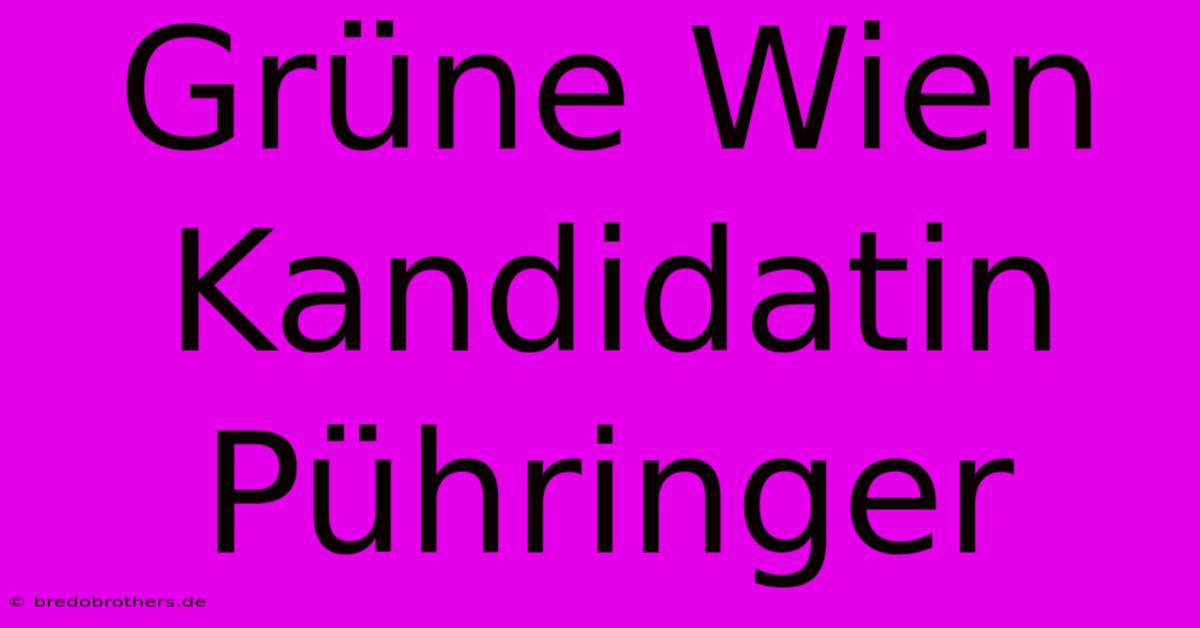 Grüne Wien Kandidatin Pühringer