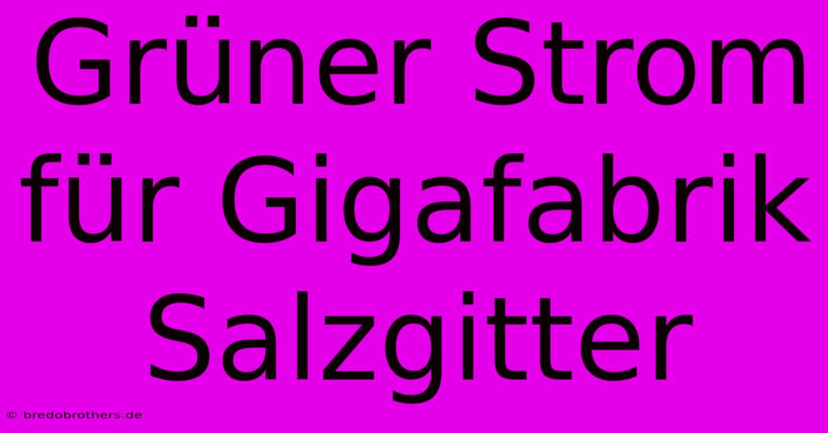 Grüner Strom Für Gigafabrik Salzgitter