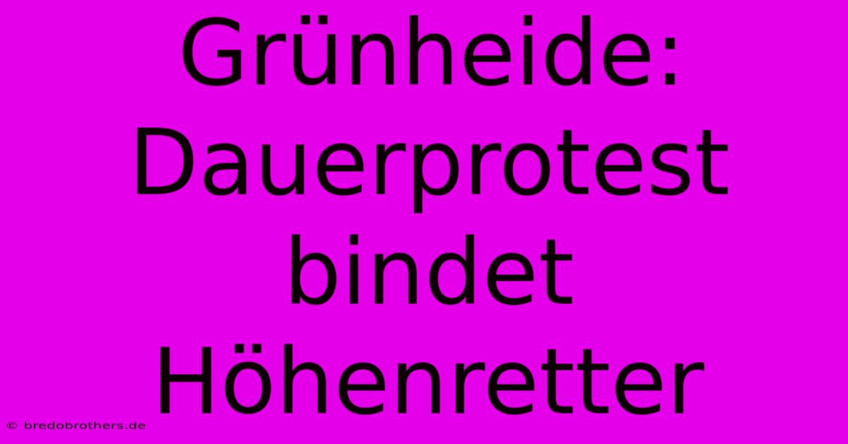 Grünheide:  Dauerprotest Bindet Höhenretter