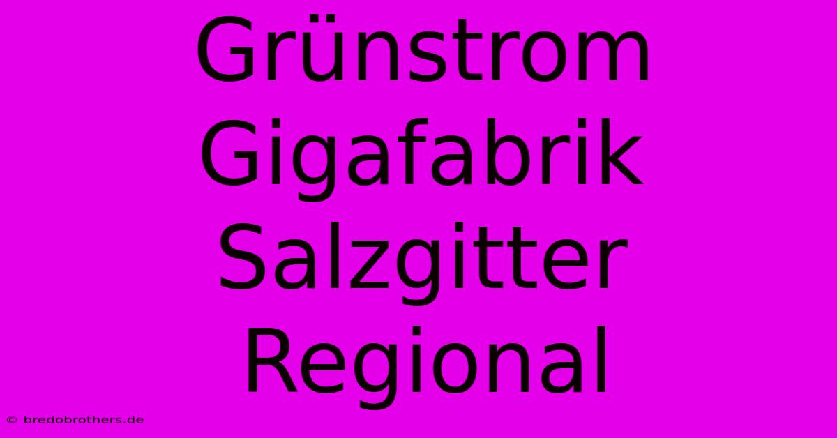 Grünstrom Gigafabrik Salzgitter Regional