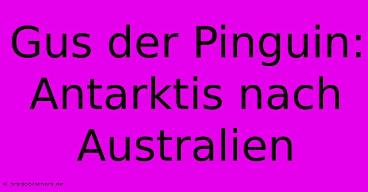 Gus Der Pinguin: Antarktis Nach Australien