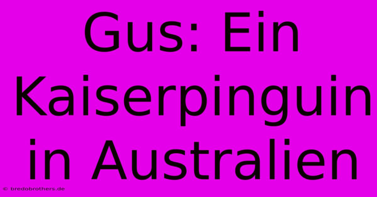 Gus: Ein Kaiserpinguin In Australien