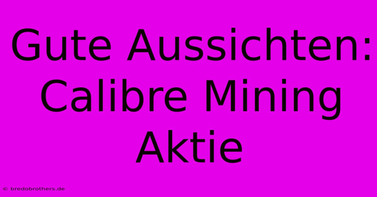 Gute Aussichten: Calibre Mining Aktie