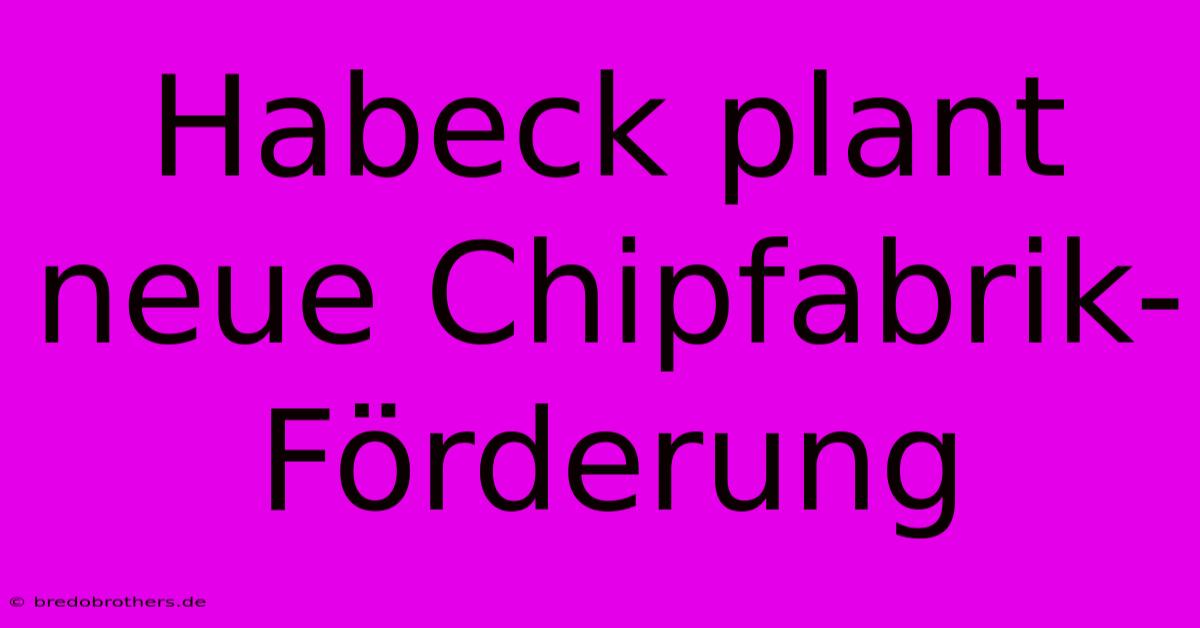 Habeck Plant Neue Chipfabrik-Förderung