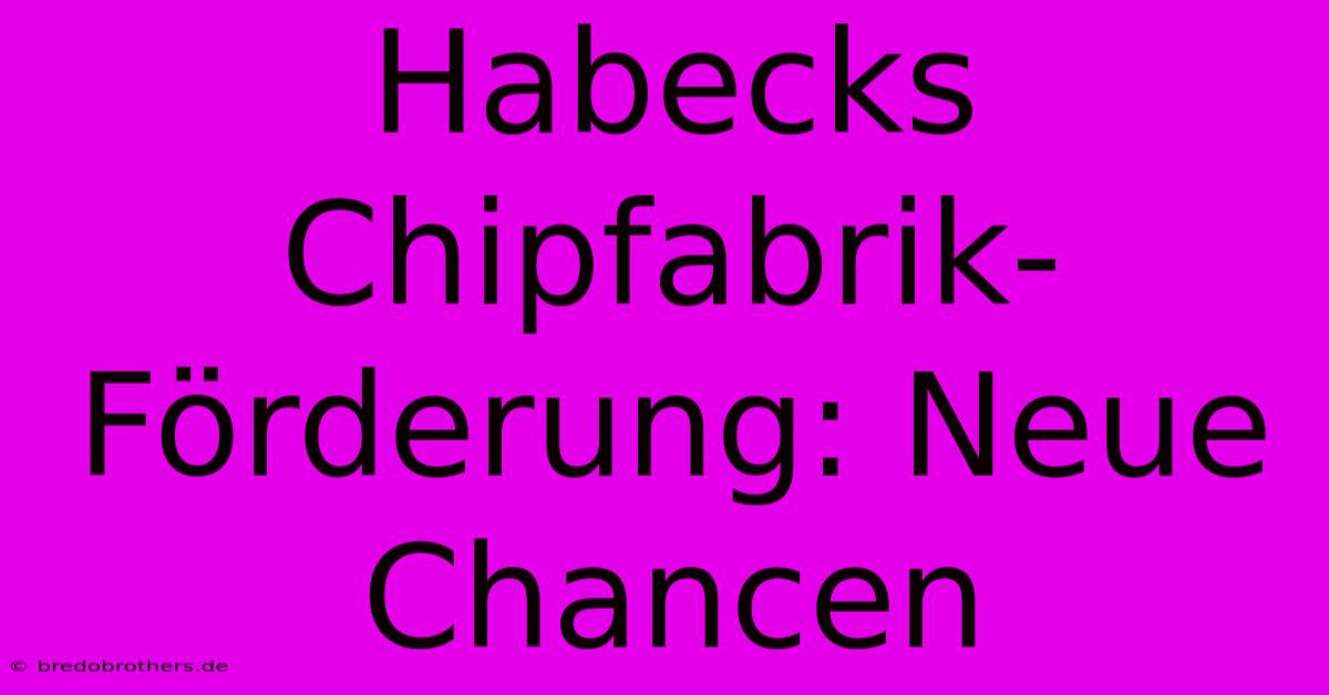 Habecks Chipfabrik-Förderung: Neue Chancen