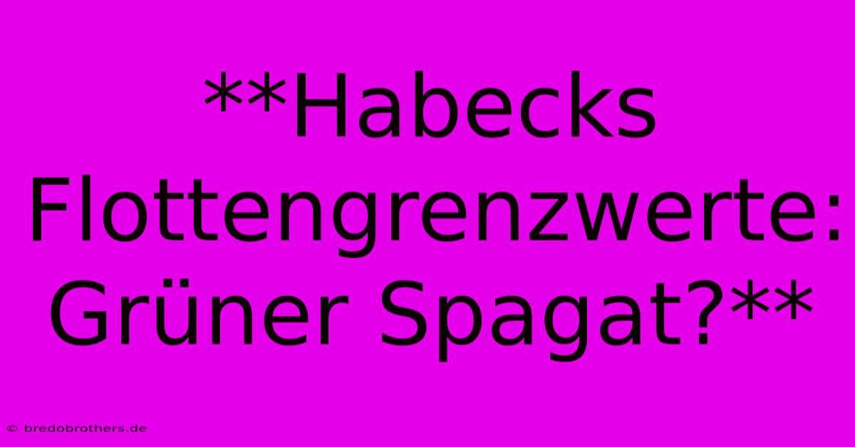 **Habecks Flottengrenzwerte: Grüner Spagat?**