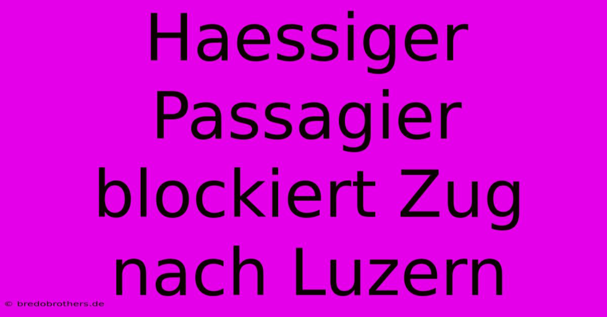 Haessiger Passagier Blockiert Zug Nach Luzern