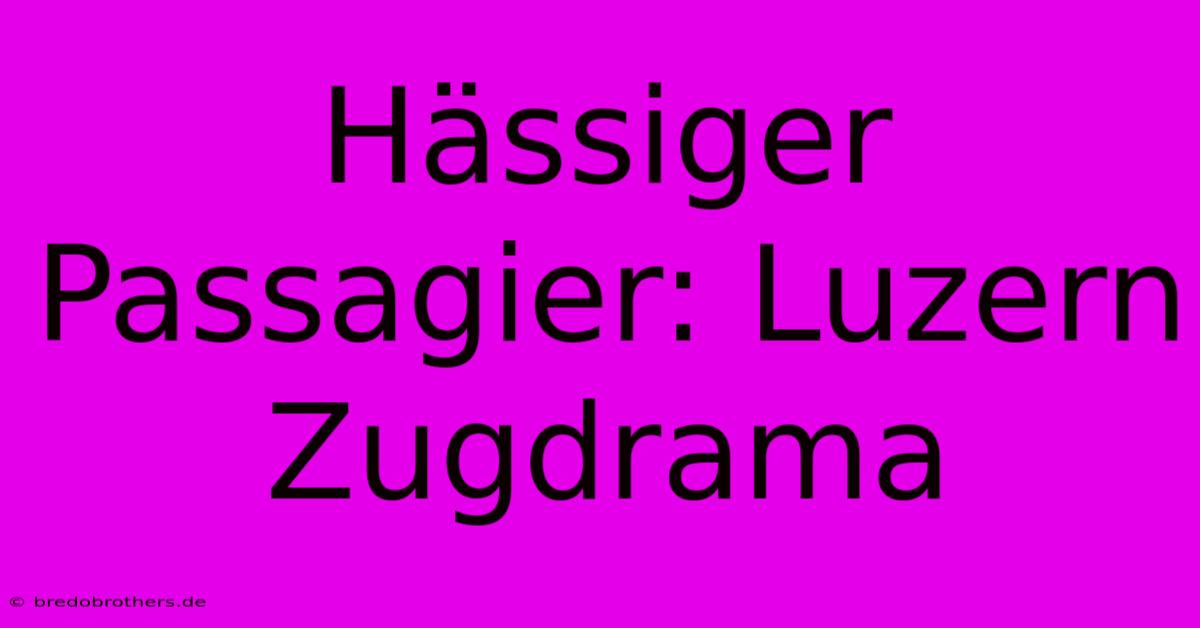 Hässiger Passagier: Luzern Zugdrama