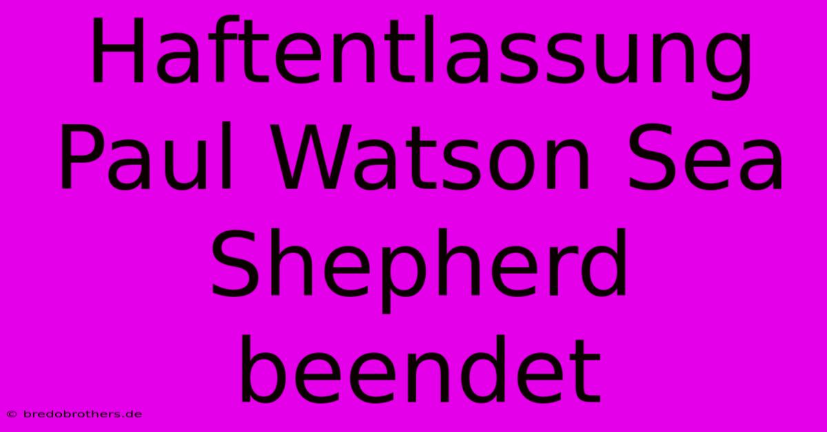 Haftentlassung Paul Watson Sea Shepherd Beendet