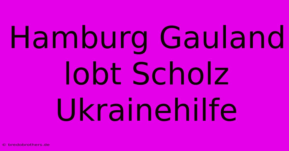 Hamburg Gauland Lobt Scholz Ukrainehilfe