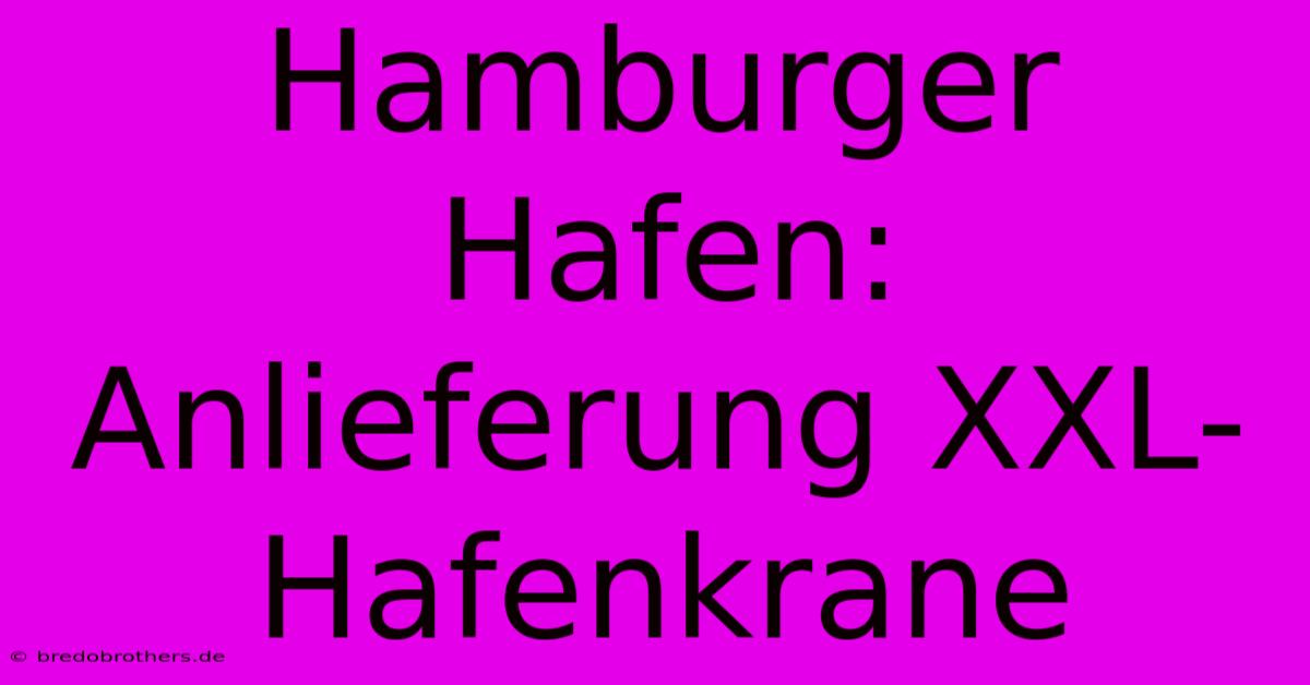 Hamburger Hafen: Anlieferung XXL-Hafenkrane