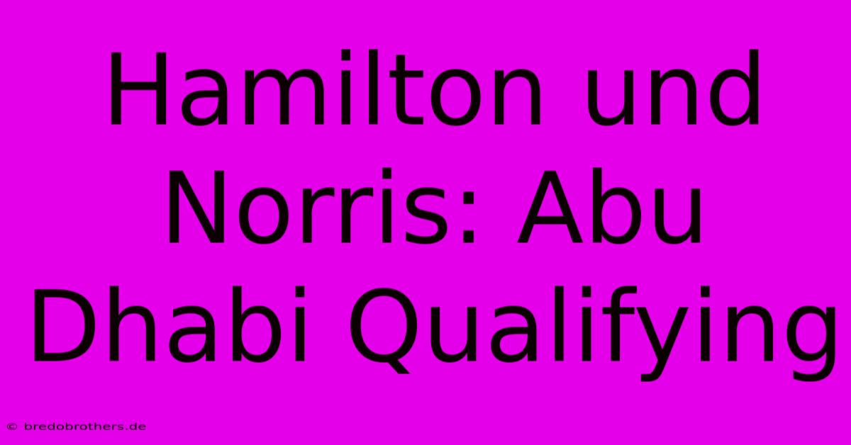 Hamilton Und Norris: Abu Dhabi Qualifying