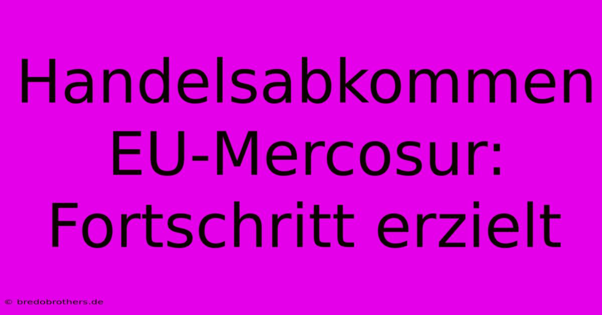 Handelsabkommen EU-Mercosur: Fortschritt Erzielt