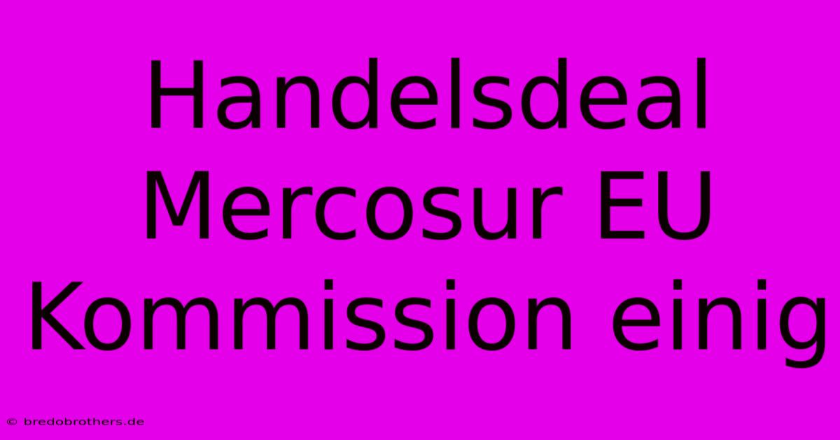 Handelsdeal Mercosur EU Kommission Einig