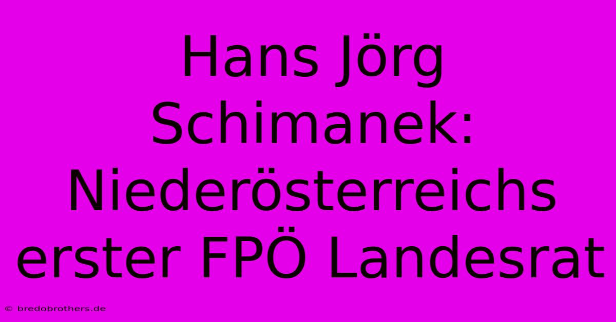 Hans Jörg Schimanek: Niederösterreichs Erster FPÖ Landesrat