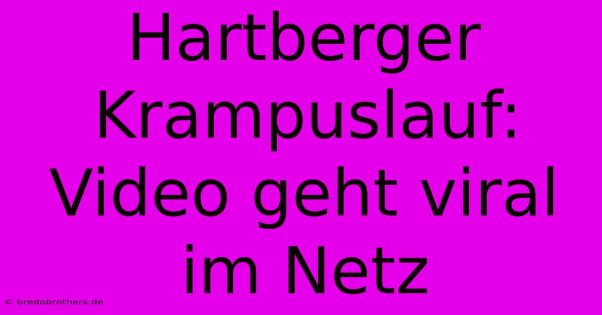 Hartberger Krampuslauf: Video Geht Viral Im Netz