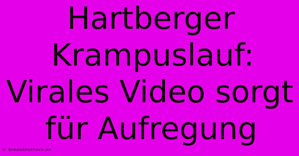 Hartberger Krampuslauf: Virales Video Sorgt Für Aufregung