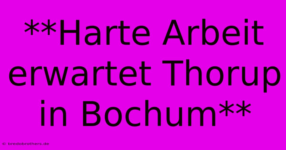 **Harte Arbeit Erwartet Thorup In Bochum**