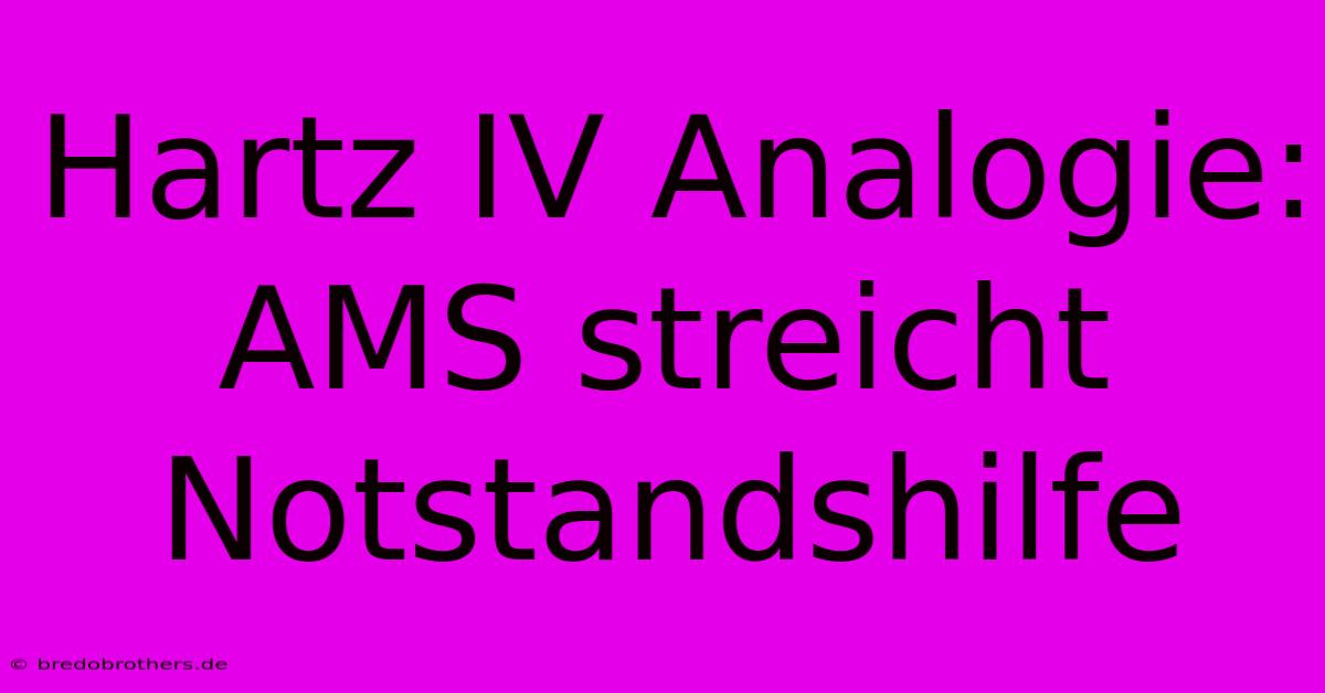 Hartz IV Analogie: AMS Streicht Notstandshilfe