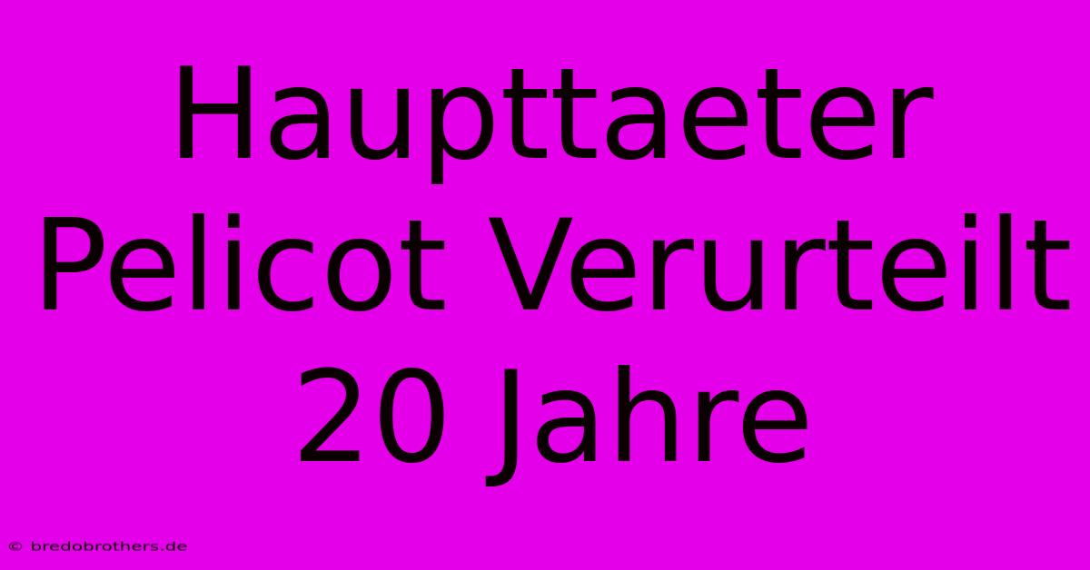 Haupttaeter Pelicot Verurteilt 20 Jahre