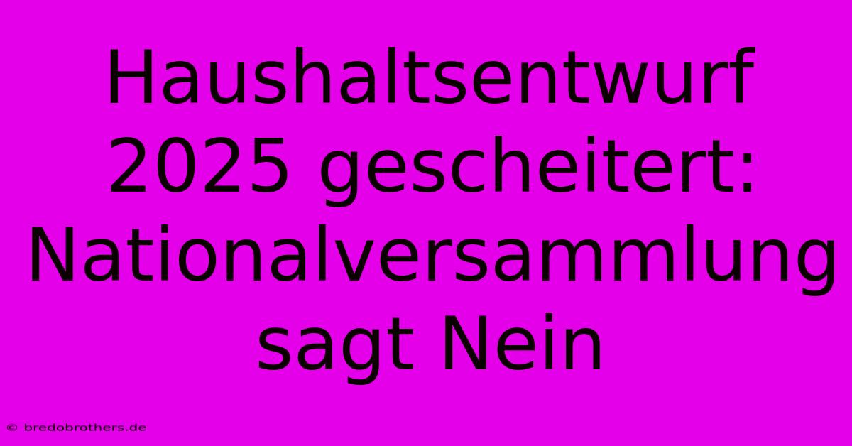 Haushaltsentwurf 2025 Gescheitert: Nationalversammlung Sagt Nein