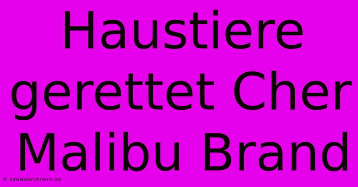 Haustiere Gerettet Cher Malibu Brand