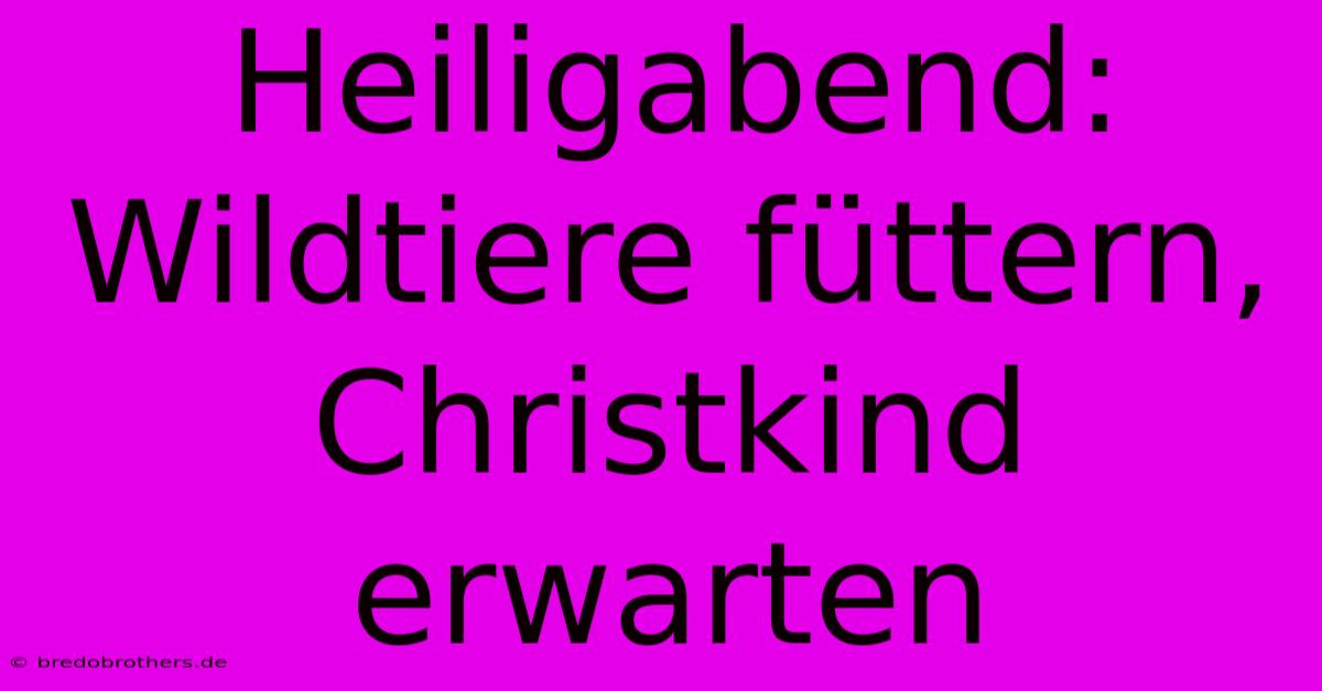 Heiligabend: Wildtiere Füttern, Christkind Erwarten