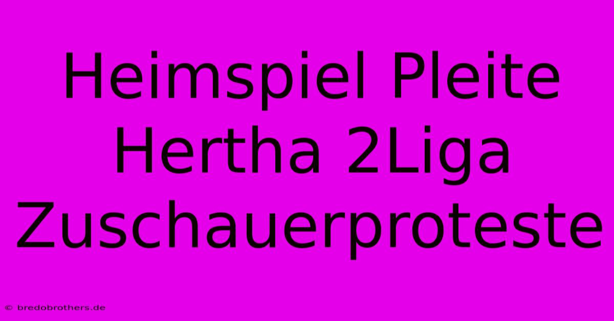 Heimspiel Pleite Hertha 2Liga Zuschauerproteste