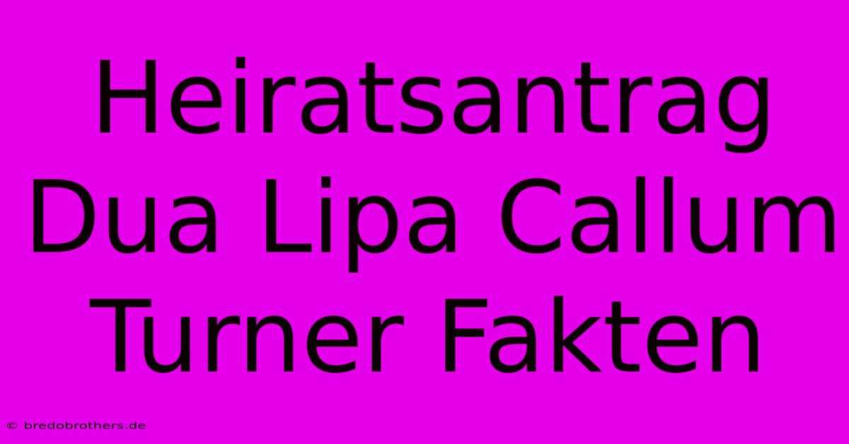 Heiratsantrag Dua Lipa Callum Turner Fakten