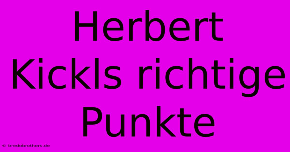 Herbert Kickls Richtige Punkte