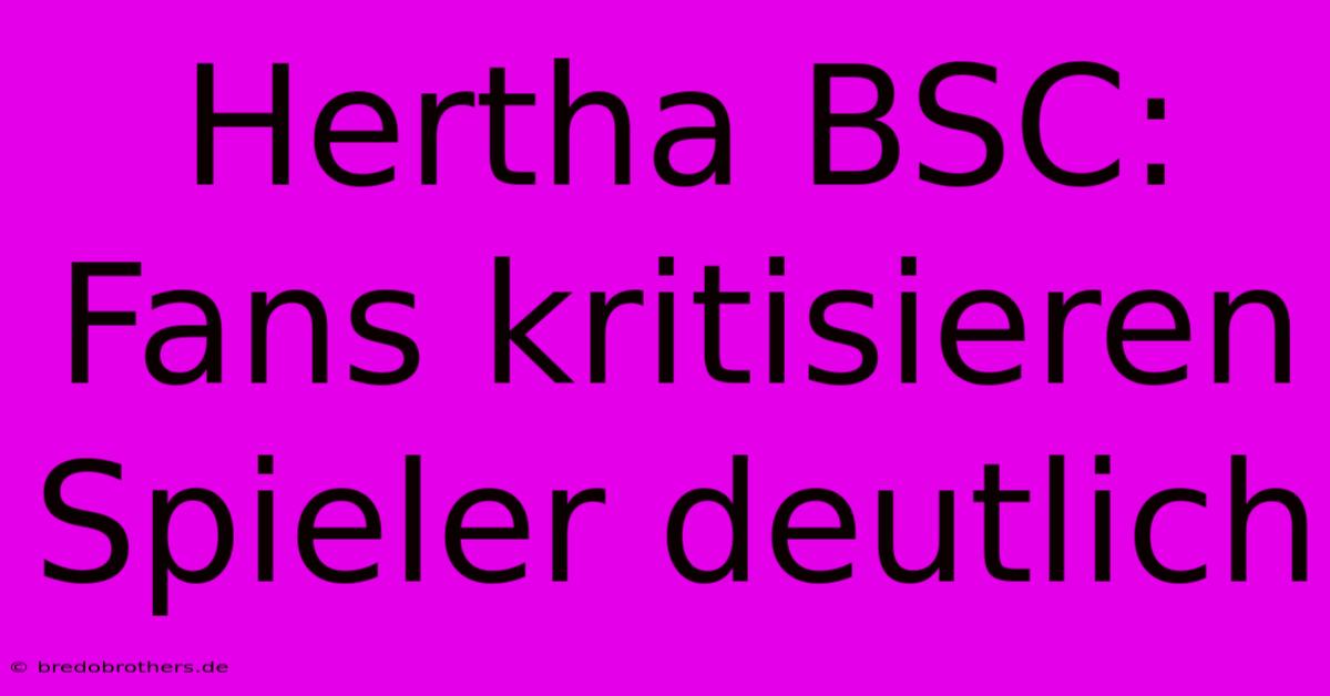 Hertha BSC: Fans Kritisieren Spieler Deutlich