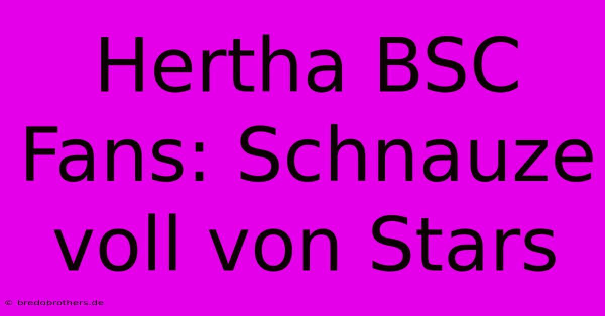 Hertha BSC Fans: Schnauze Voll Von Stars