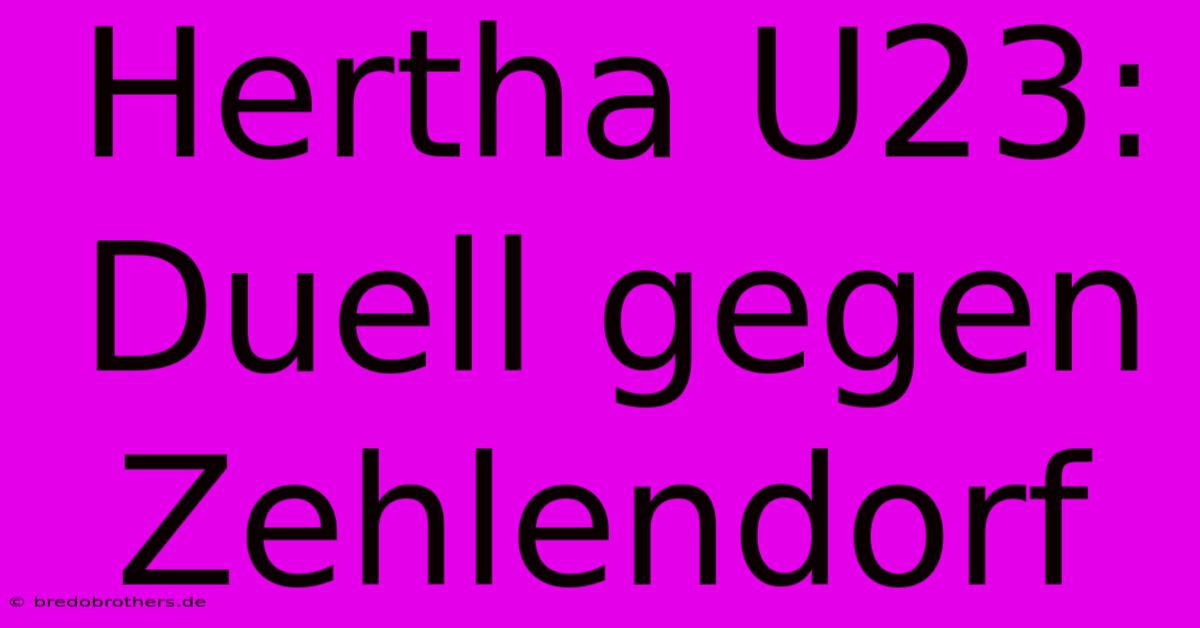 Hertha U23: Duell Gegen Zehlendorf