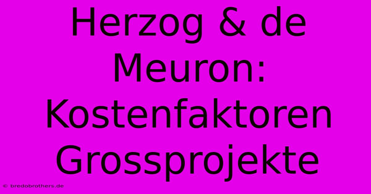 Herzog & De Meuron: Kostenfaktoren Grossprojekte