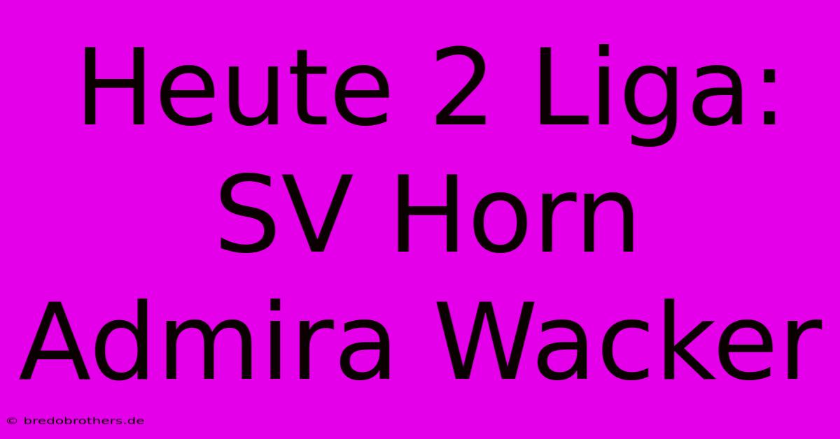 Heute 2 Liga: SV Horn Admira Wacker