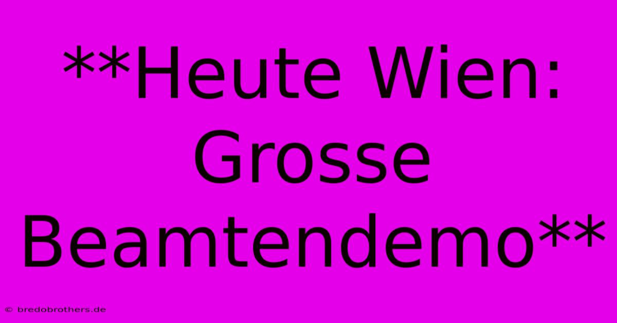 **Heute Wien: Grosse Beamtendemo**