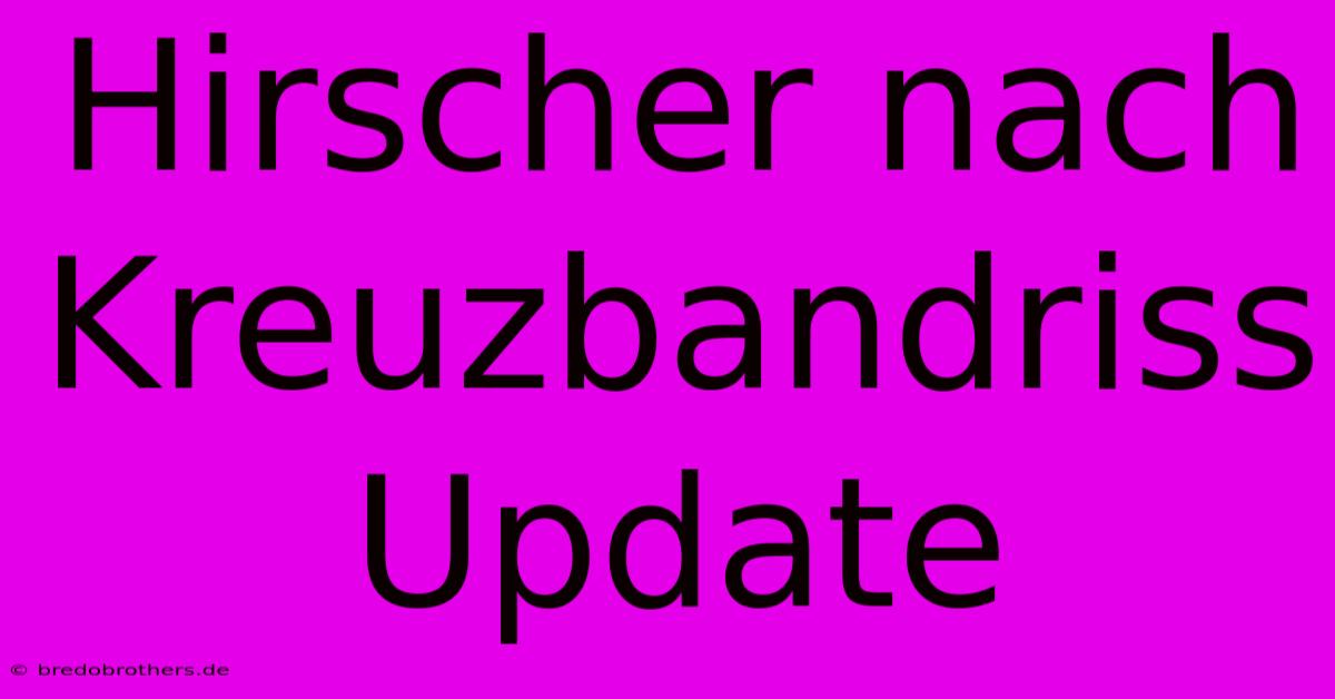 Hirscher Nach Kreuzbandriss Update