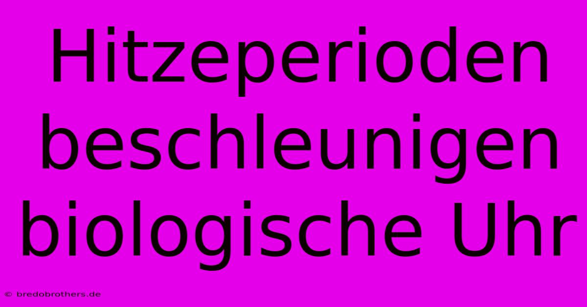 Hitzeperioden Beschleunigen Biologische Uhr