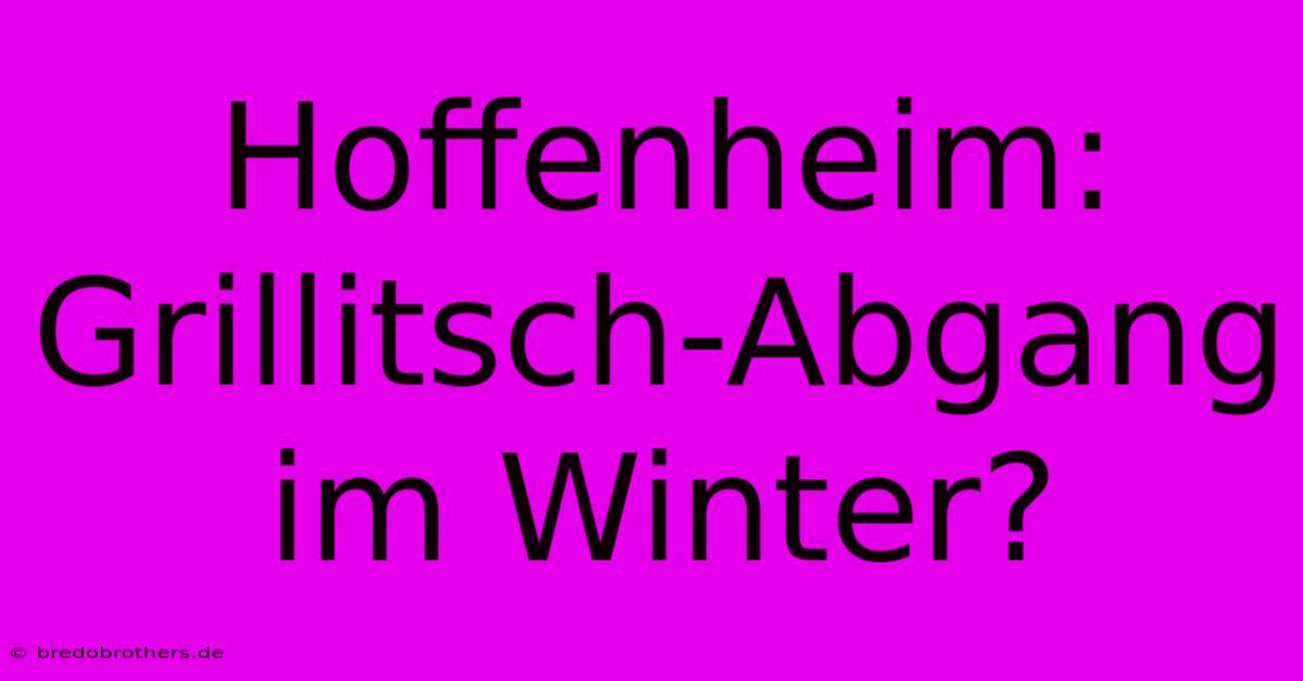 Hoffenheim: Grillitsch-Abgang Im Winter?