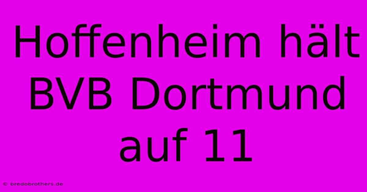 Hoffenheim Hält BVB Dortmund Auf 11