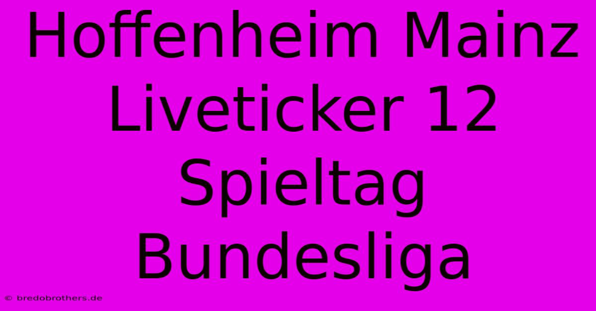 Hoffenheim Mainz Liveticker 12 Spieltag Bundesliga