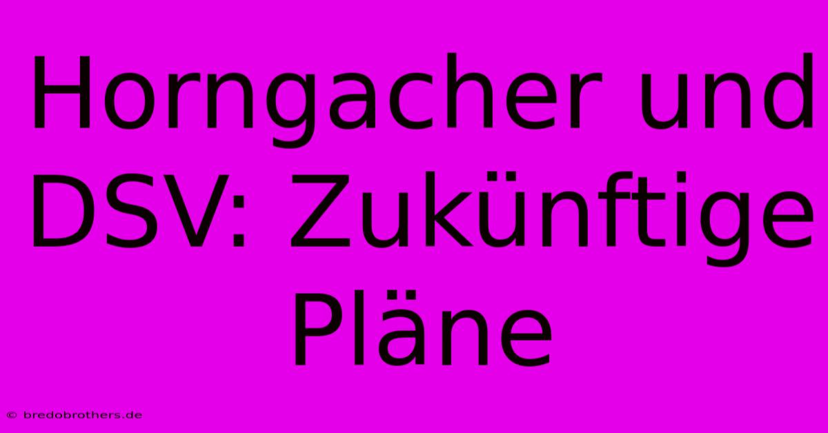 Horngacher Und DSV: Zukünftige Pläne