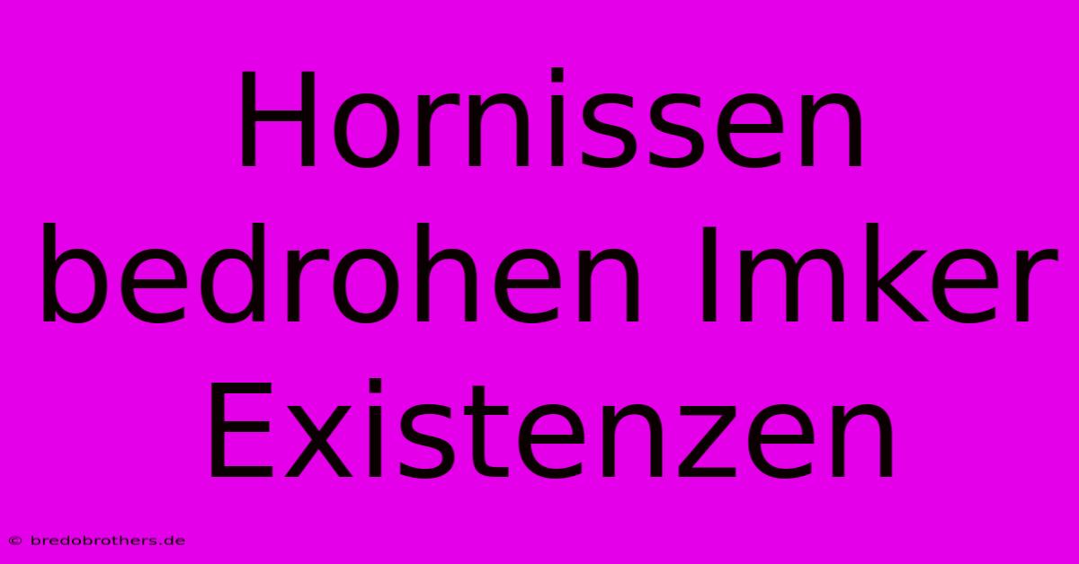 Hornissen Bedrohen Imker Existenzen