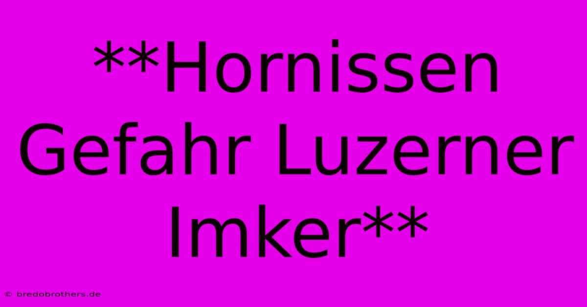 **Hornissen Gefahr Luzerner Imker**