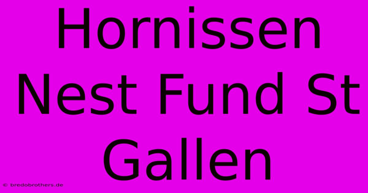 Hornissen Nest Fund St Gallen