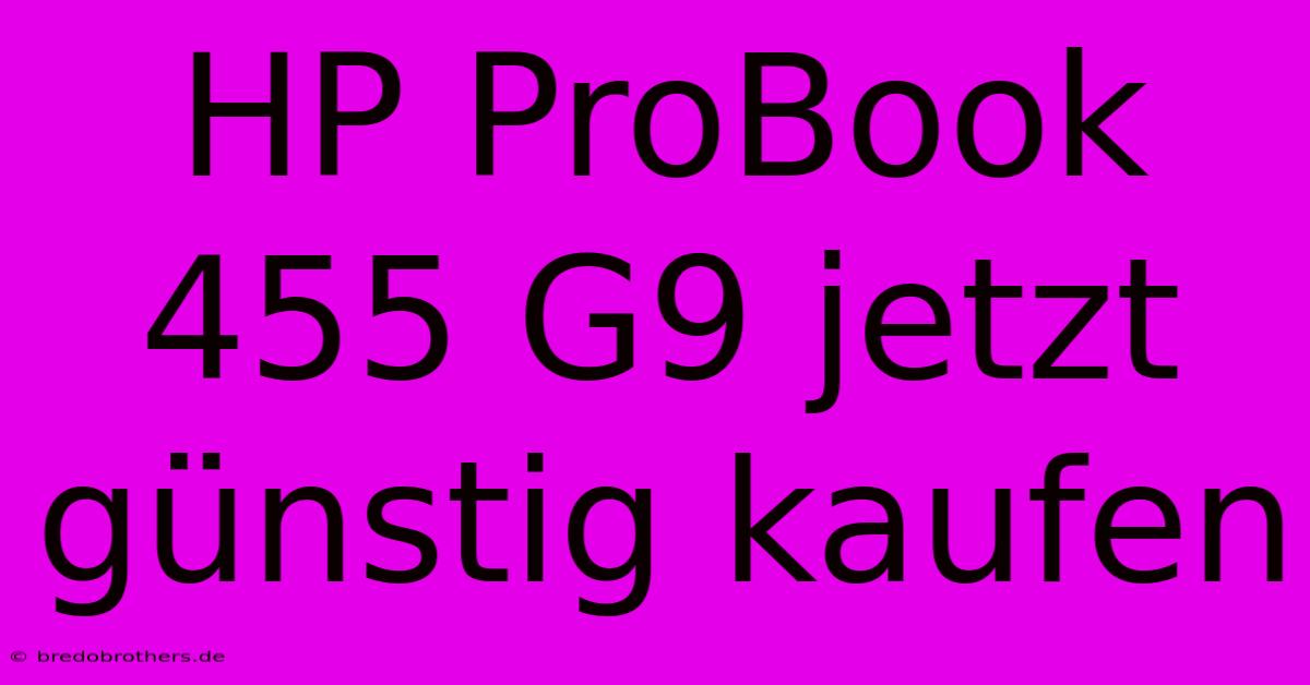 HP ProBook 455 G9 Jetzt Günstig Kaufen