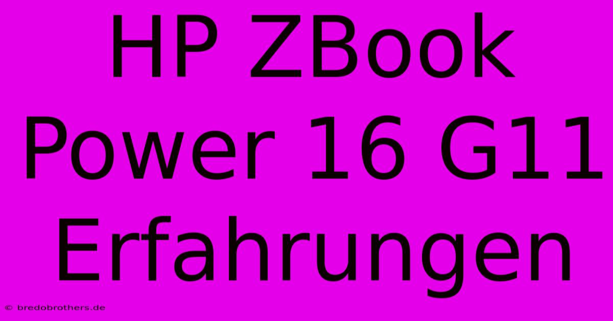 HP ZBook Power 16 G11 Erfahrungen