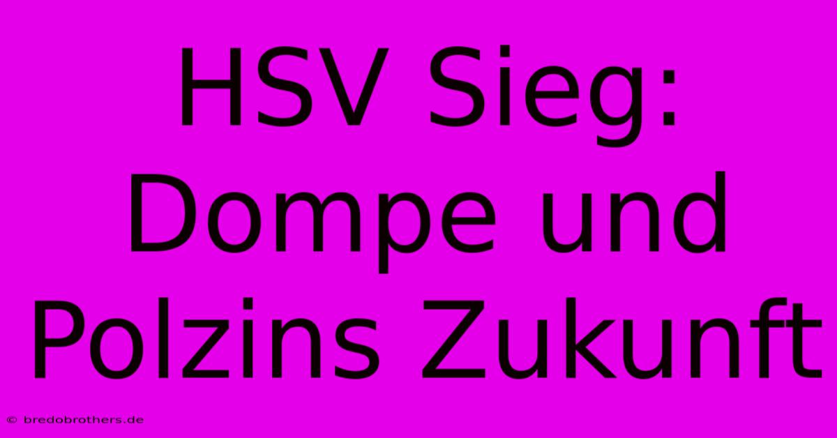 HSV Sieg: Dompe Und Polzins Zukunft