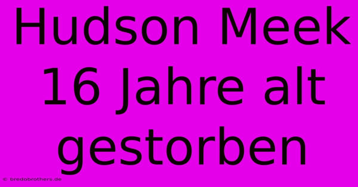 Hudson Meek 16 Jahre Alt Gestorben