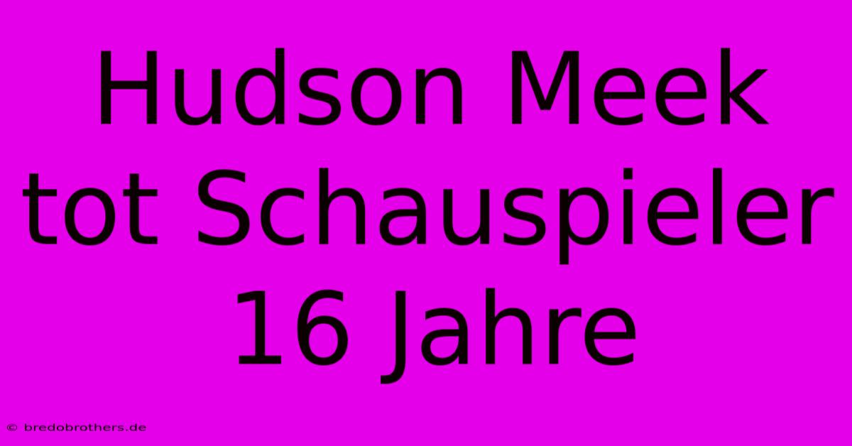 Hudson Meek Tot Schauspieler 16 Jahre